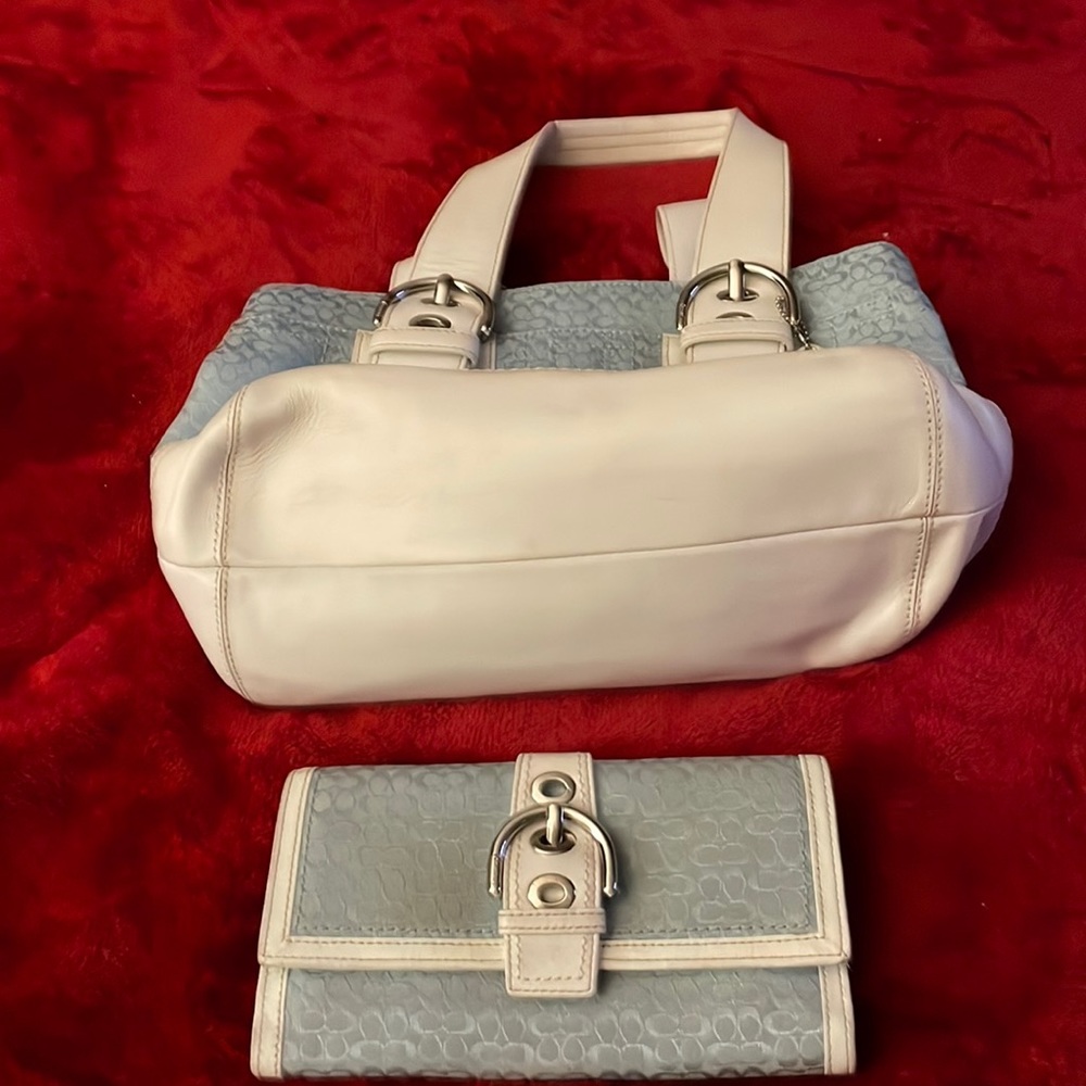Handbag & wallet